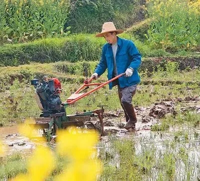 疫情防控的基本常识是什么？（疫情防控和春耕备耕两不误）